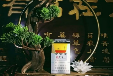 揭秘10元摩登香烟的价格之谜，性价比背后的故事