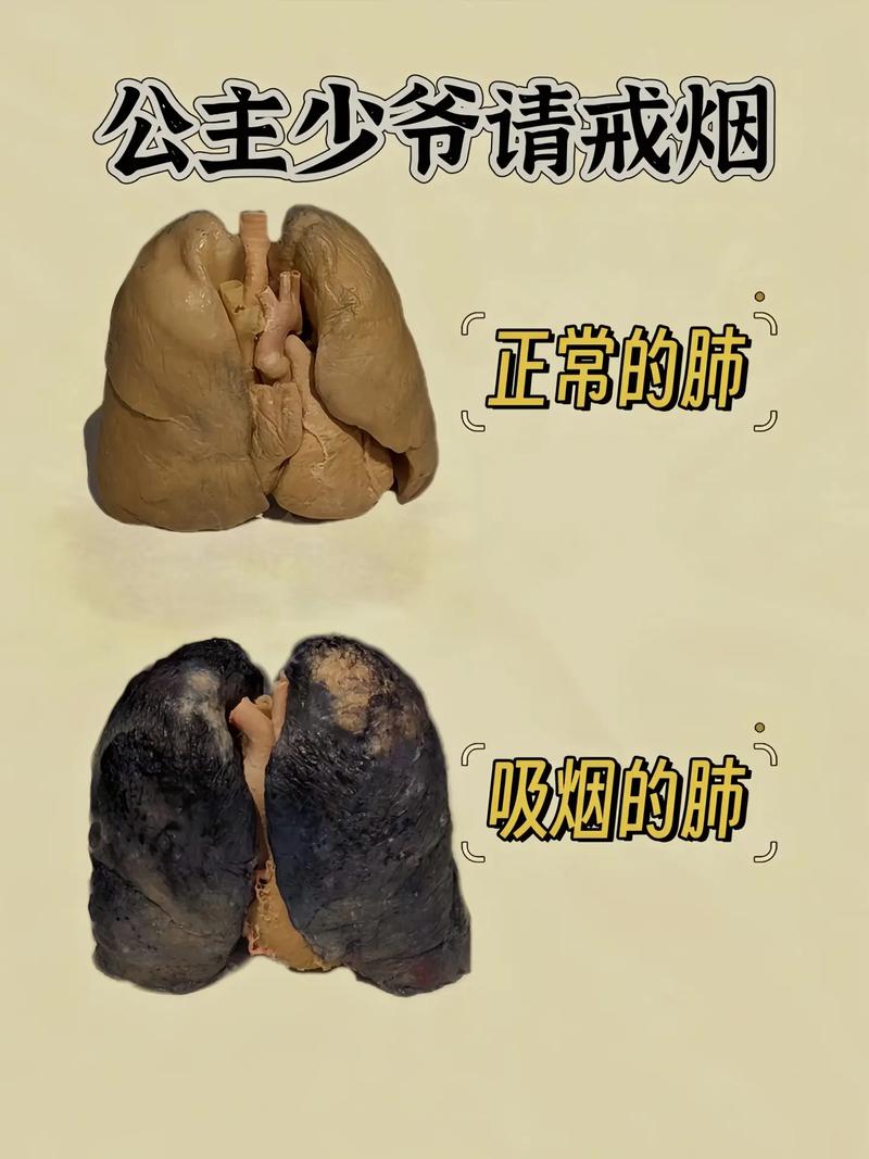 抽烟只抽外烟会怎么样(抽烟只抽外烟会怎么样吗)